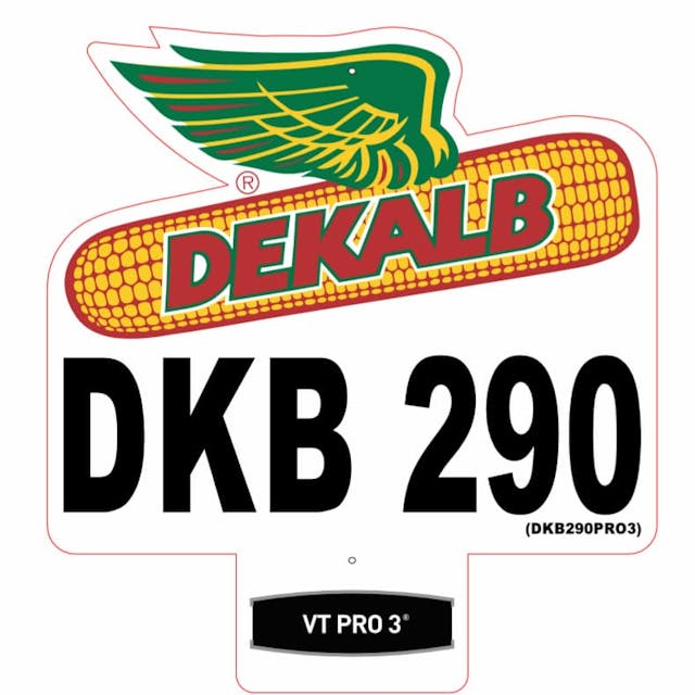 SEMENTE DE MILHO DKB 290 PRO3 - DEKALB