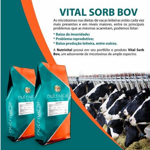 Vital Sorb Bov ( adsorvente / sequestrante de micotoxina )