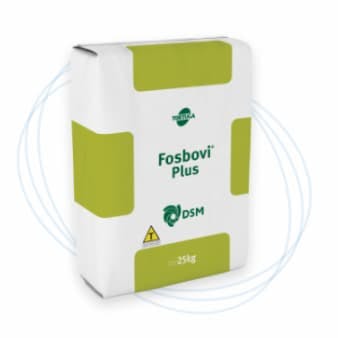 Fosbovi Plus (gado de corte em pastagens verdes)