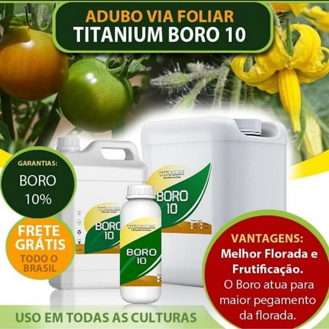 Boro 10 - Fertilizante   Adubo foliar - É recomendado nos programas de nutrição vegetal porque proporciona melhor nutrição em plantas