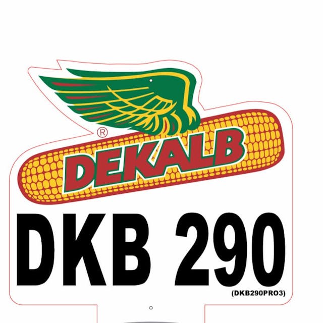 SEMENTE DE MILHO DKB 290 TRECEPTA - DEKALB