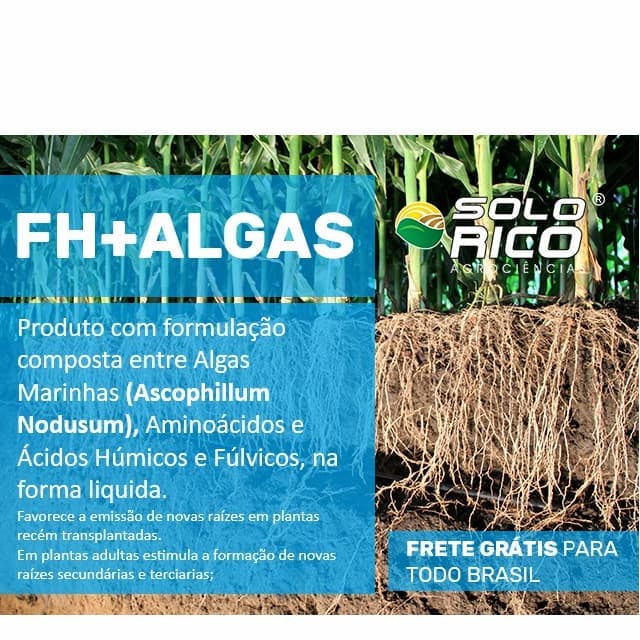  Fertilizante - FH + ALGAS - Produto com formulação composta entre Algas Marinhas (Ascophillum Nodusum), Aminoácidos e Ácidos Húmicos e Fúlvicos, na forma liquida, esterco liquido